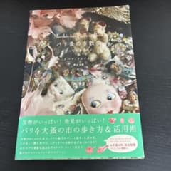 パリ蚤の市散歩 : とっておきガイド&リペア・リメイク術のサムネイル