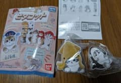 ピタコット　モフサンドのサムネイル