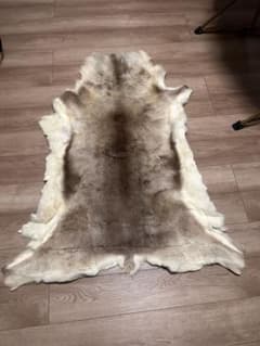 トナカイファー　本物毛皮　キャンプ映え◎　ラグ／チェアカバーに トナカイファー 本物毛皮 キャンプ映え◎ ラグ／チェアカバーに - メルカリ