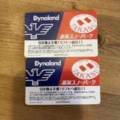 高鷲スノーパーク　ダイナランド　リフト券　1日券　2枚のサムネイル