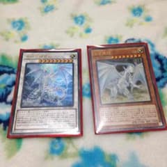 ブルーアイズ2枚のサムネイル