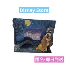 ディズニーストア わんわん物語 レディ＆トランプ フォトフレーム 即日