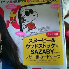 steady 4月号 付録のサムネイル