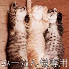 大きいサイズ♡♡シフォンロングスカートのサムネイル