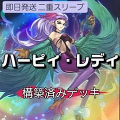 山屋　即日発送　ハーピィ・レディデッキ　構築済みデッキ　まとめ売り 山屋 即日発送 ハーピィ・レディデッキ 構築済みデッキ まとめ売り