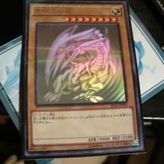 青眼の白龍 ホロパラのサムネイル