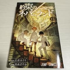 약속의 네버랜드 13