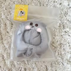 【新品未使用】RIIZE ウンソク　ペンライト　カバー　キャップ　ソンヨンドリ RIIZE ウンソク ソンヨンドリ ペンライトカバー - メルカリ