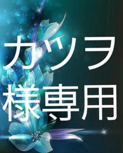 専用出品のサムネイル