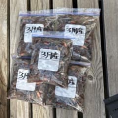 本日限りの特価品:冷凍ホタルイカ釣り餌200g袋10セットのサムネイル