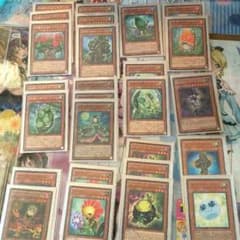 遊戯王 森羅 デッキのサムネイル