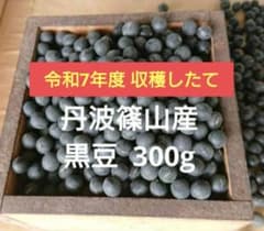 令和7年度 収穫 丹波篠山産 黒豆 300gのサムネイル