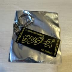 群馬クレインサンダーズ　#39 サンダーズのサムネイル