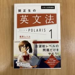 大学入試問題集 関正生の英文法ポラリス[1 標準レベル]のサムネイル