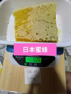 コムハニー　自然　天然　日本蜜蜂　523gのサムネイル