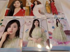 乃木坂46 井上和 生写真 6種 15周年 スペシャルのサムネイル