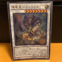 遊戯王 輝竜星 ショウフクのサムネイル