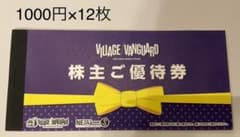 ヴィレッジヴァンガード　 株主優待券　1,000円券×12枚のサムネイル