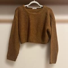 P.V.T クロップド丈 ニット ブラウン 長袖のサムネイル