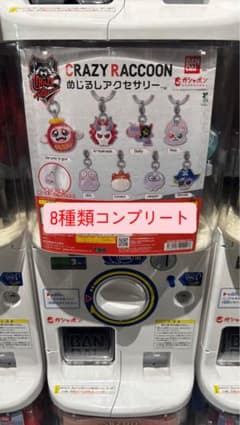 CRAZY RACCOON めじるしアクセサリー8種類のサムネイル