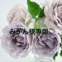 みかん様専用ページ♪のサムネイル