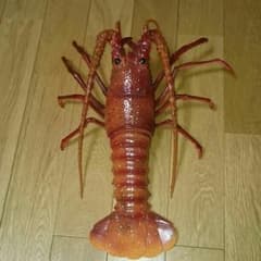 伊勢海老のフィギュア 実物大のサムネイル