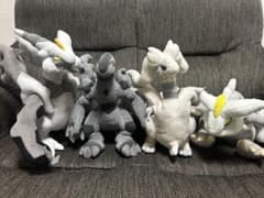 ポケモンセンター ゼクロム レシラム キュレム ブラックキュレム
