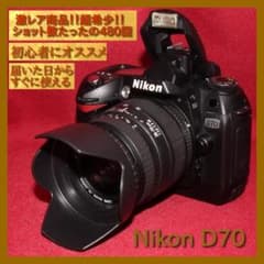 ✨激レアショット数たったの480回✨ニコン D70 レンズセット✨ - メルカリ