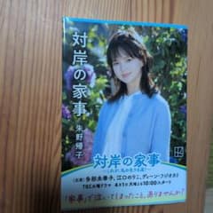 対岸の家事のサムネイル
