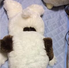 スヌーピー BIGぬいぐるみのサムネイル