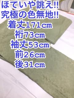 ほていや誂え‼︎ 究極の色無地‼︎ 絵羽無地‼︎ 裄73cm トールサイズ 袷 