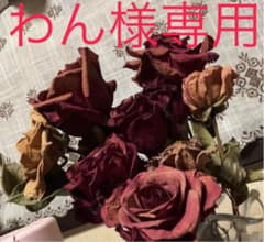 わん様専用のサムネイル