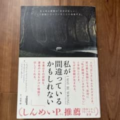 私が間違っているかもしれないのサムネイル