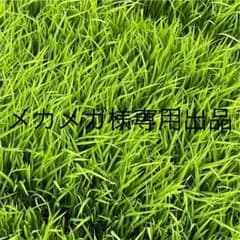 メカメガ様専用出品のサムネイル