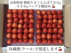 山形県産 朝採りさくらんぼ ７００gのサムネイル