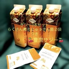 ◇豊潤サジー◇1000ml×3本と「らくさん菌＆にゅうさん菌」2袋セット未