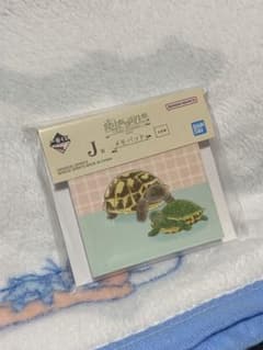 一番くじ 爬虫類＆両生類 J賞 メモパッドのサムネイル