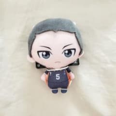 新品 ハイキュー!! ぬいぐるみちゃーむ vol.3 田中龍之介