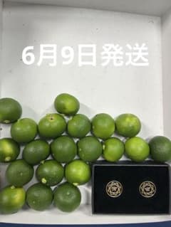 お*ち様 ハウススダチ　家庭用　5キロ ハウススダチ 家庭用 約1キロ 6/9発送 - メルカリ