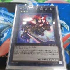 インヴォーカー ノーパラのサムネイル