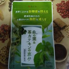 漢方セレクト 桑の葉&茶カテキンの恵み 120粒 漢方セレクト 桑の葉&茶カテキンの恵み 120粒 - メルカリ