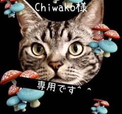Chiwako 님 전용