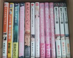 飴色パラドックス1〜6巻+ボーイズラブ漫画7冊セットのサムネイル