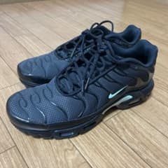 NIKE AIR MAX PLUS ブラック ミントグリーンのサムネイル