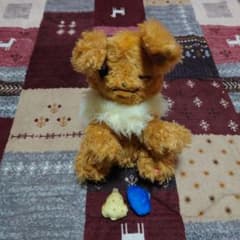WHO are YOU？ポケモン イーブイのサムネイル