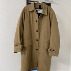 【ぴげにい様専用】のサムネイル