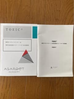 アガルート TOEIC® 精密スキルマスター & 新形式超速スコアUP 実践講義