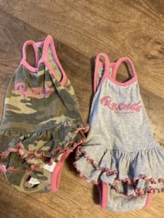 超小型犬　洋服のサムネイル