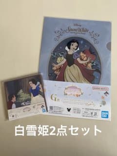 디즈니 프린세스 이치 반 쿠지 Dream in color F상 G상