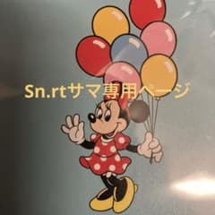 sn.rt様専用ページのサムネイル